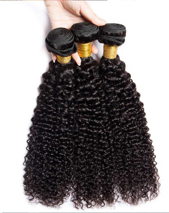 Kinky Curly Human Hair Wig