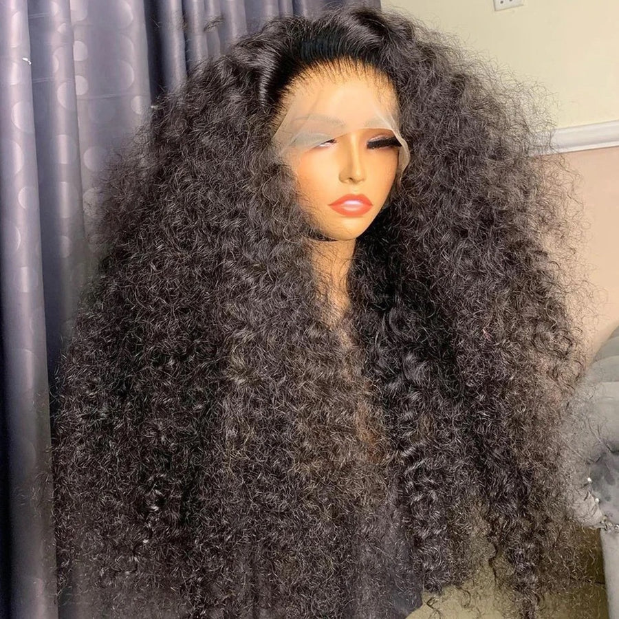 Lace Front Curly Human Hair Blend Wig