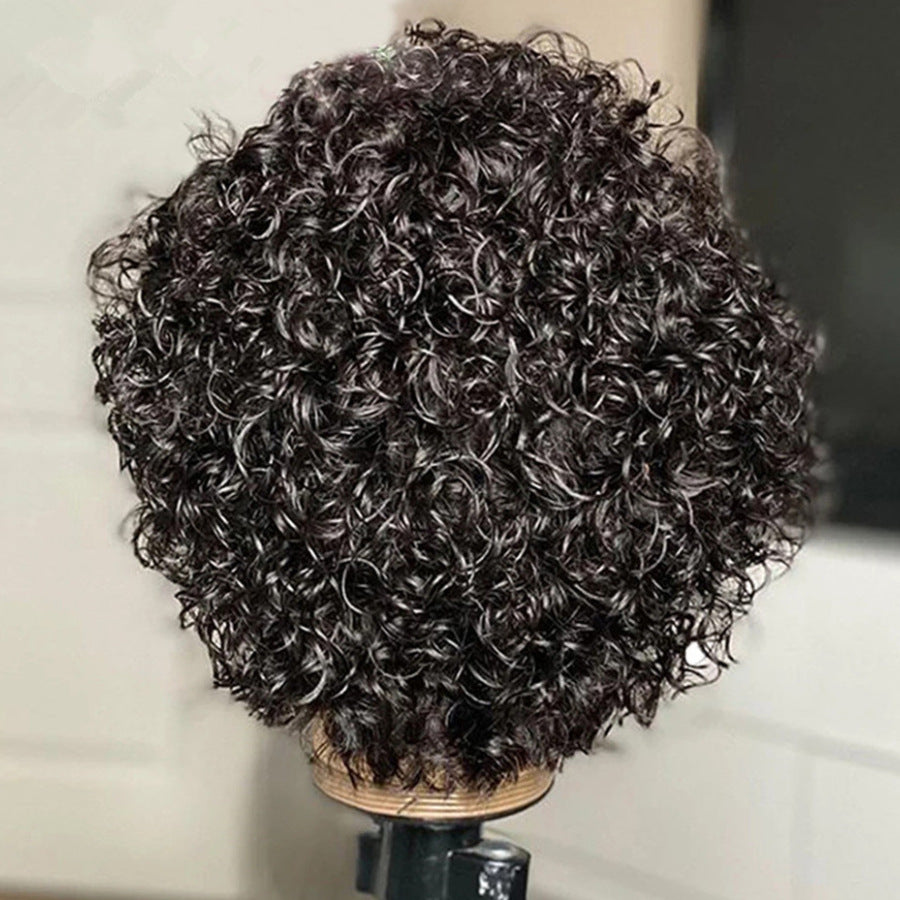 Short Curly Pixie Cut Human Hair Wig