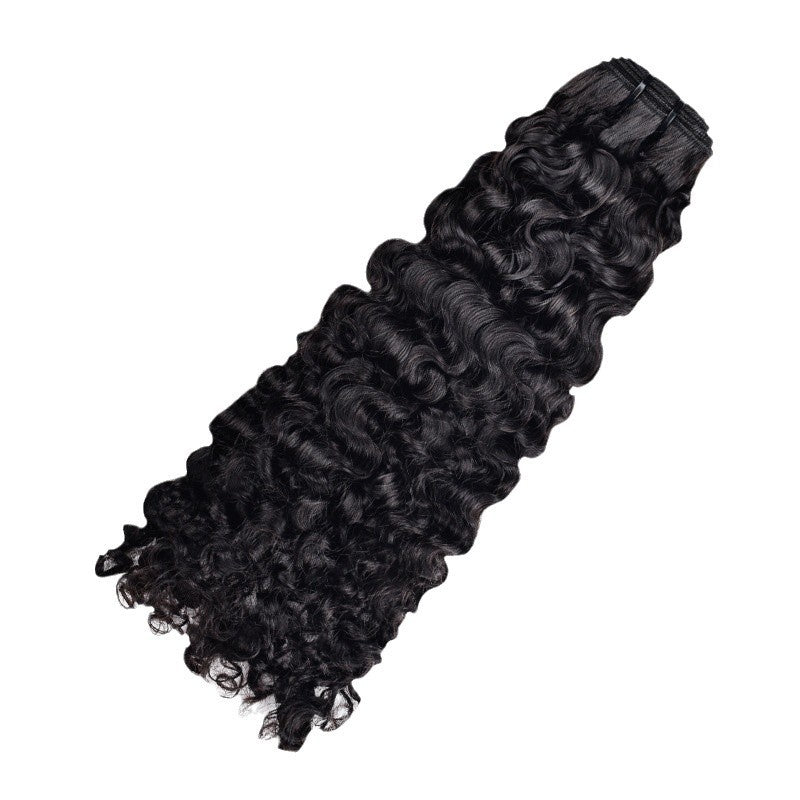 Burmese Curly Human Hair Wig