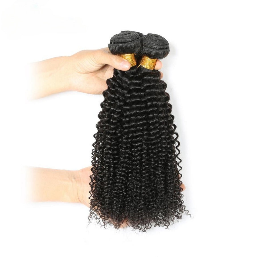 Kinky Curly Human Hair Wig